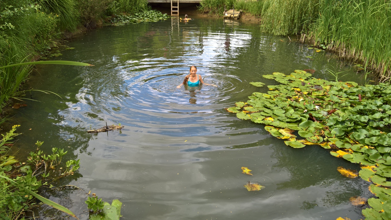 Nie dagewesener Tiefstand im Teich