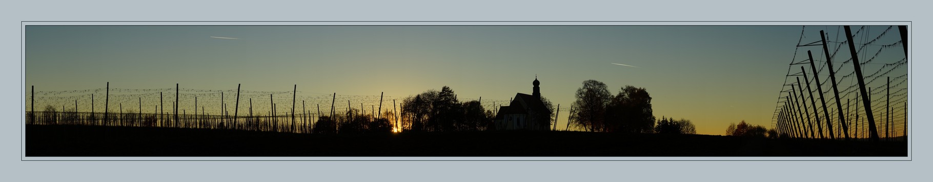   Hopfengarten Panorama Bild 12