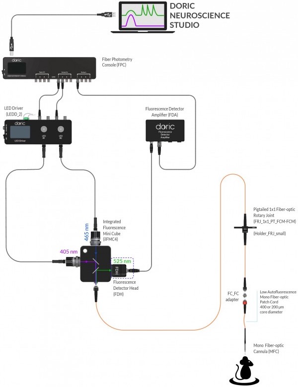 1-site Fiber Photometry System - GCaMP Isosbestic and Functional Excitations - 405nm and 465 nm