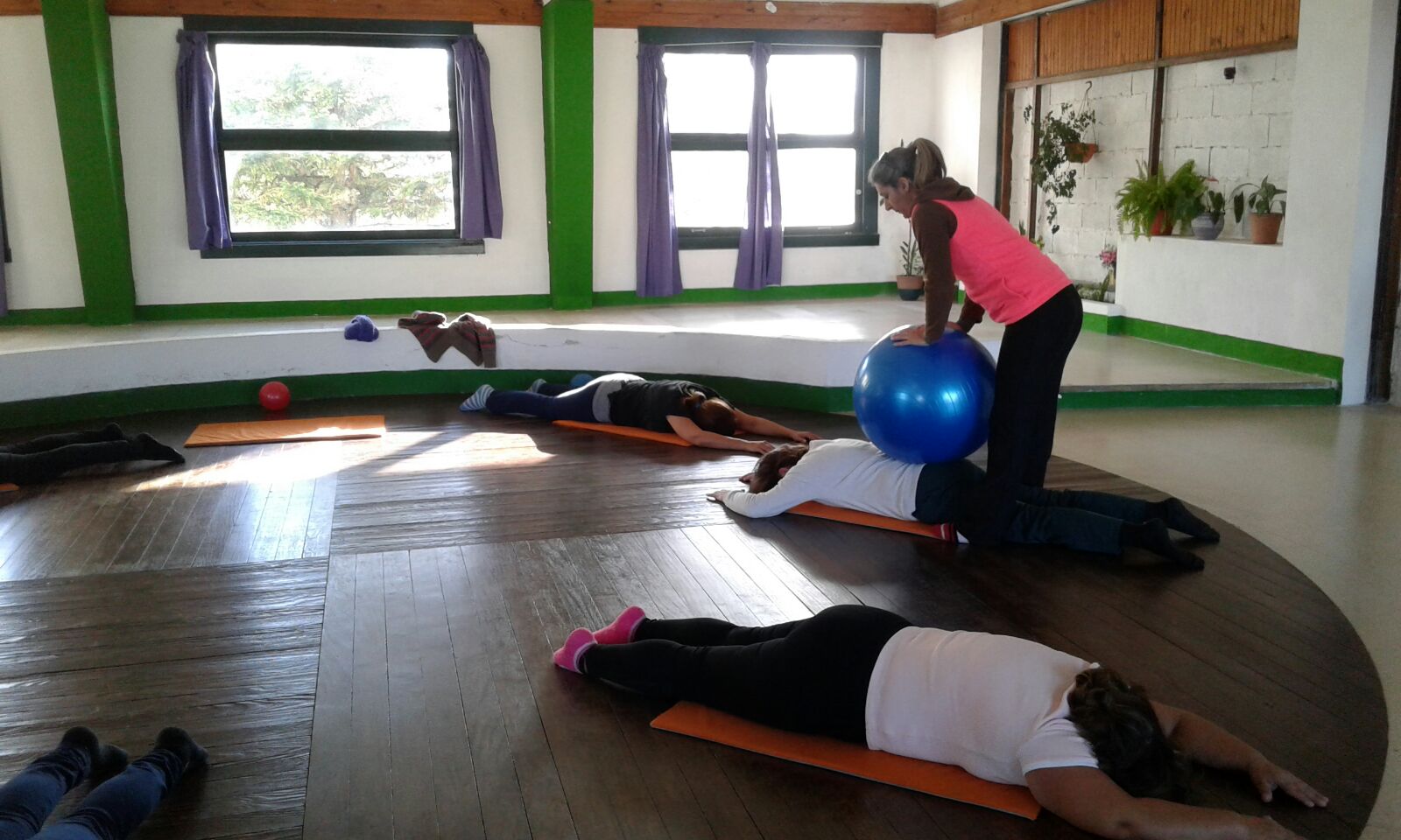 Gimnasia Terapeutica Pilates Fisio Ball Espacio Fitness La Floresta