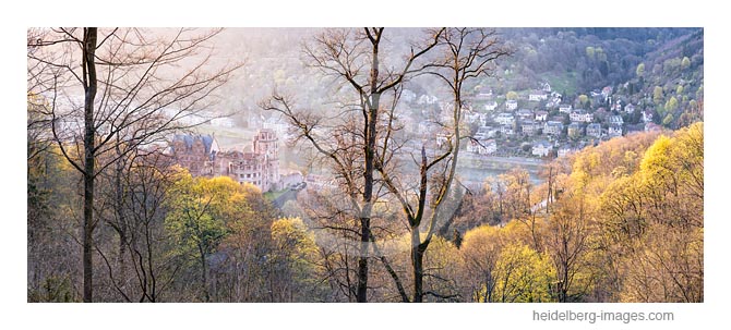 Archiv-Nr. hc2020122 | Heidelberger Schloss im Frühling