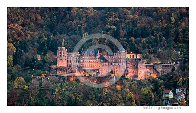 Archiv-Nr. hc2015168 | Herbstwald und Heidelberger Schloss 