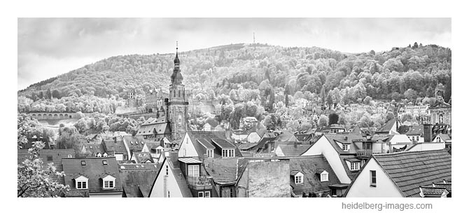 Archiv-Nr. h2019121 | Dächern der Altstadt mit Heiliggeistkirche