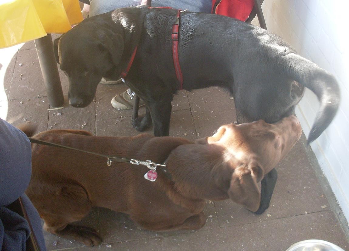 Ayla und Cuno