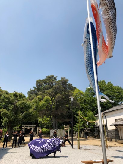 5月藤まつり　こいのぼりと獅子舞