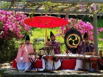 5月藤まつり