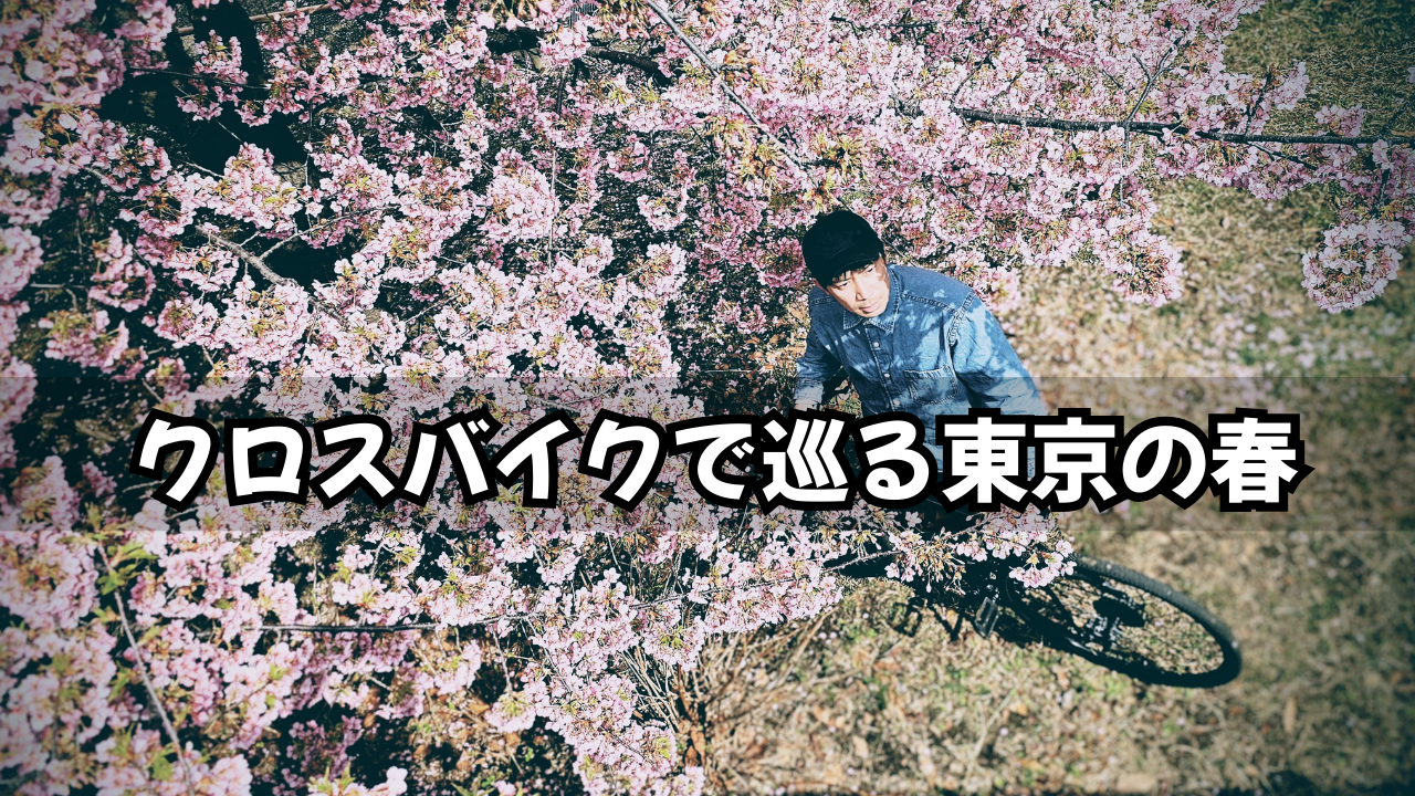クロスバイクで巡る東京の春！2月の河津桜と4月のソメイヨシノを満喫する