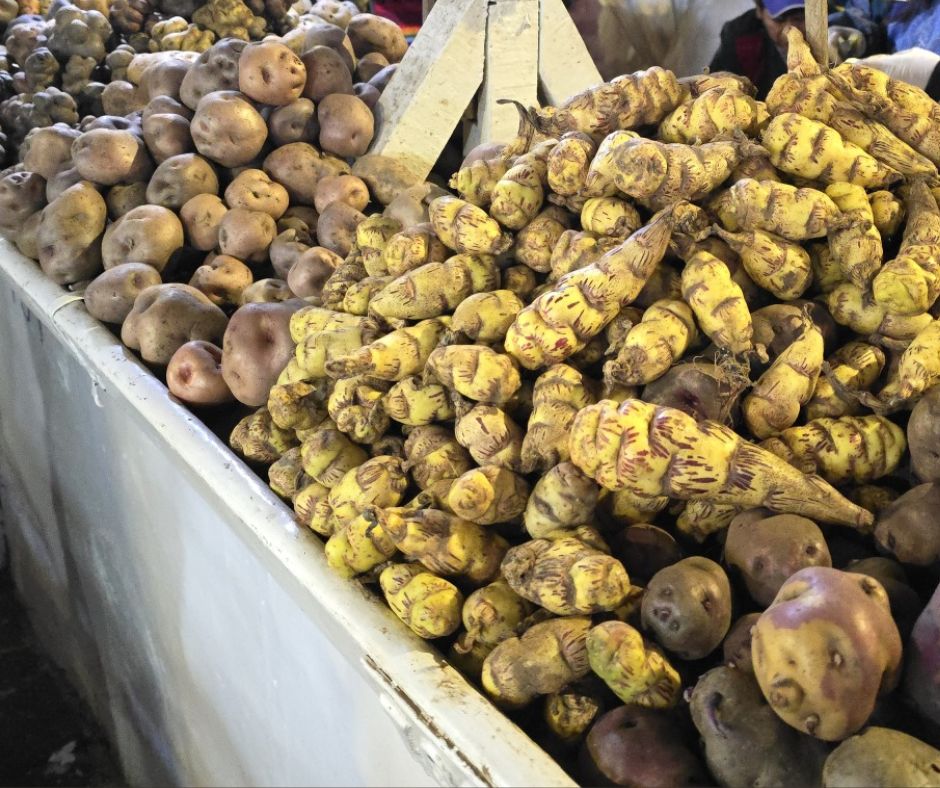 What did the ancient Aztecs eat and drink? History Skills