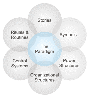 the cultural web of an organisation