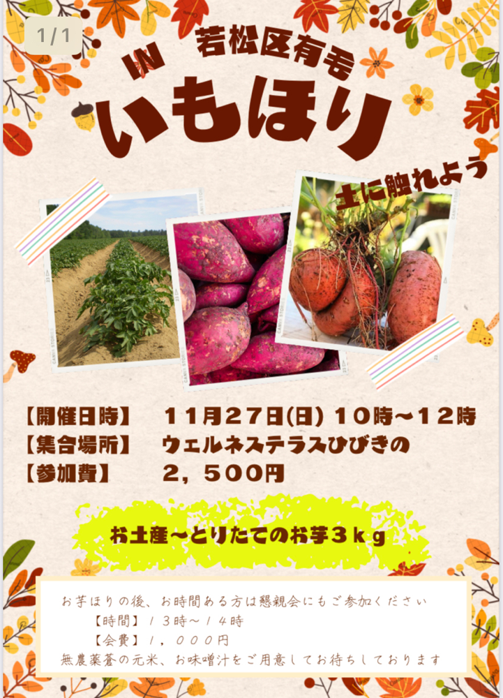 ◆11月27日(日) 大自然の秘密基地へご招待！　芋掘り土いじりワークショップ