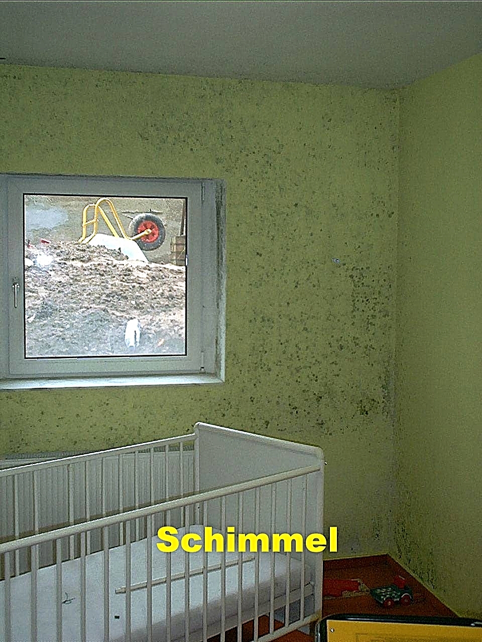 Schimmelbeseitigung Bonn Schimmelbeseitigung Bonn