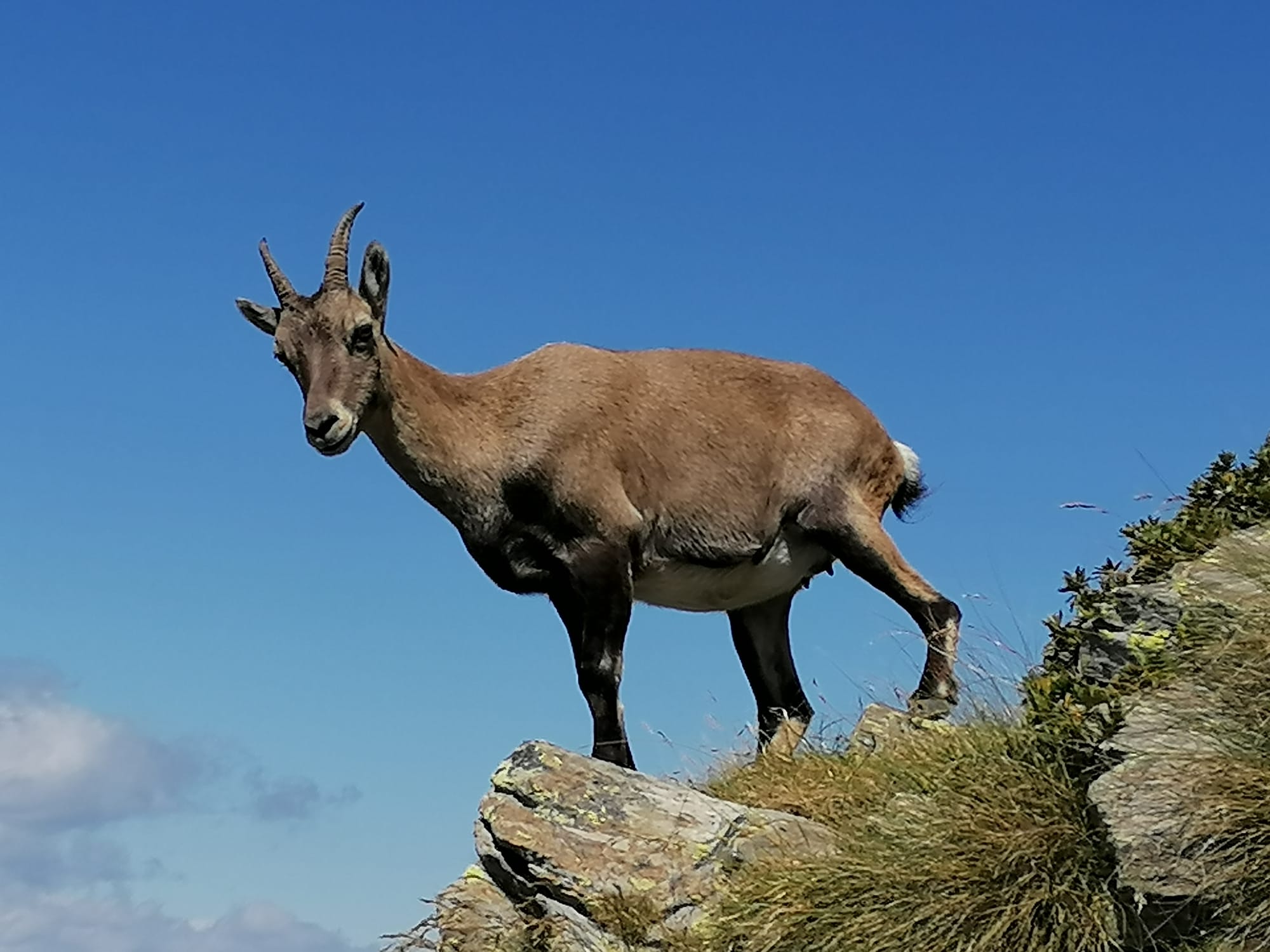 Ferienwohnung la nicchia Vercana, Wandern