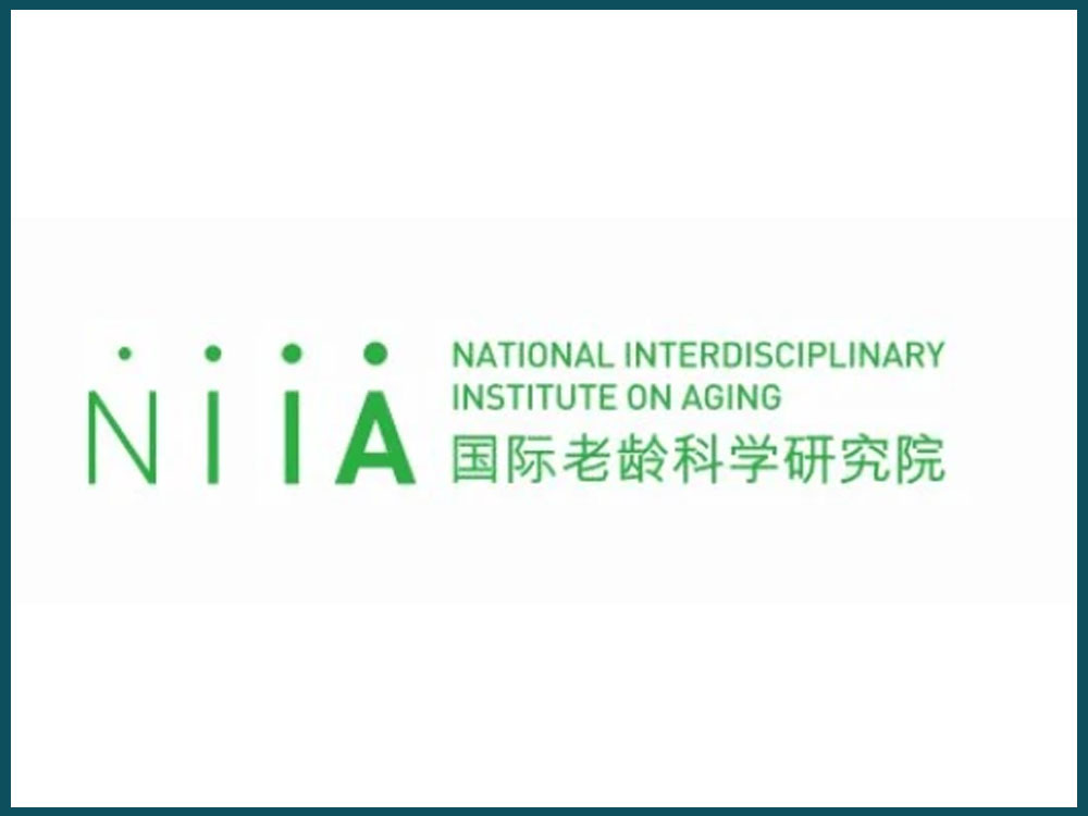 Internationale Kooperation in China mit NIIA