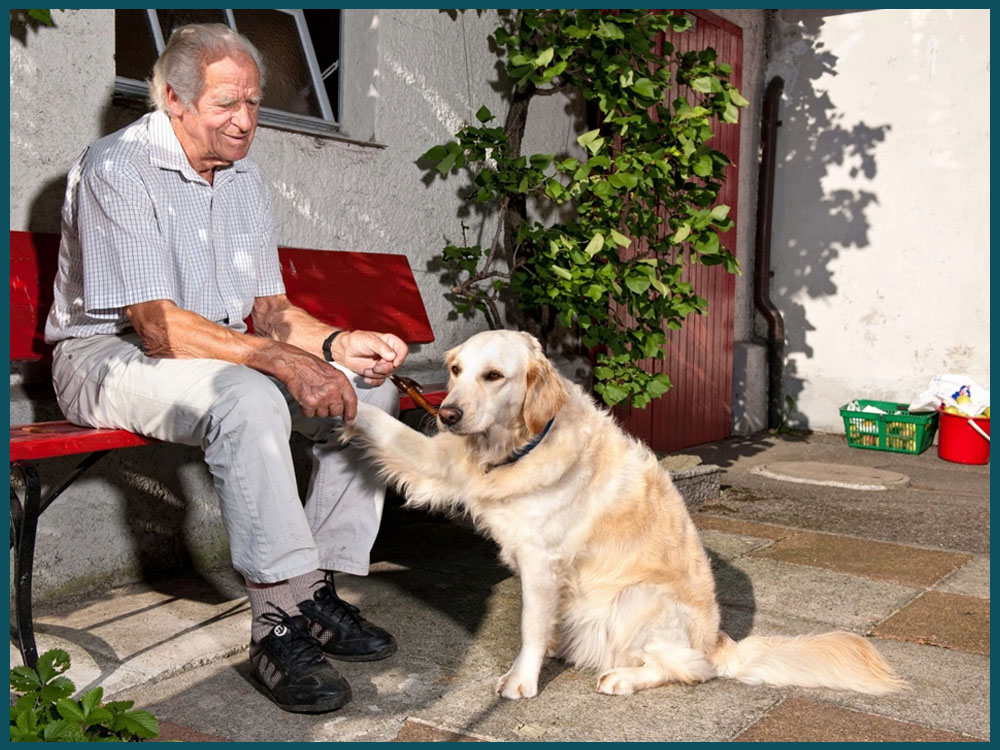 Betreuungspersonen gratis online finden