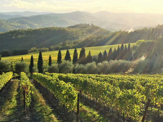 キャンティワイナリー