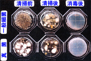 きれいに見える空調ダクト内部で細菌検査をした結果、多くの細菌が蔓延している写真