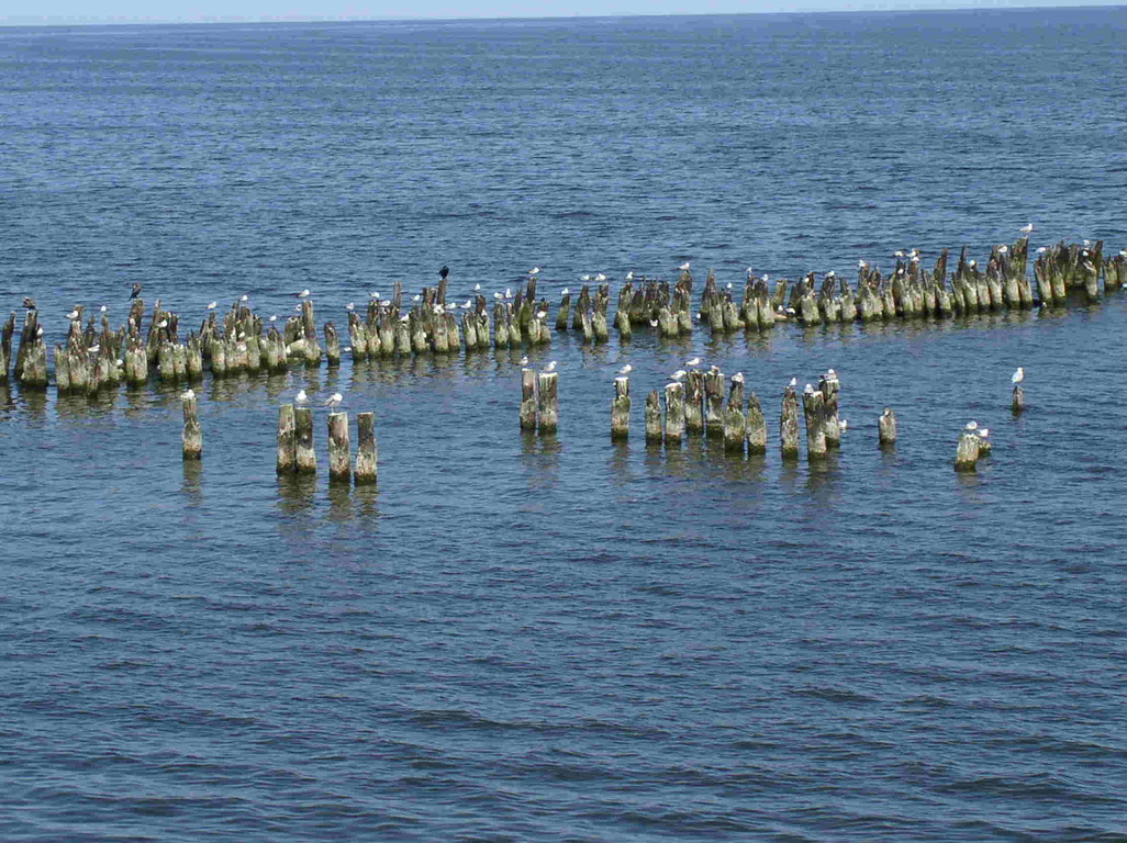 Strand von Heringsdorf