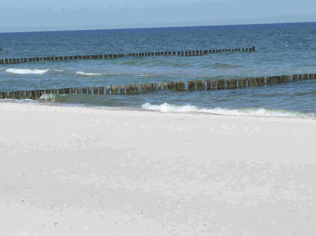 Strand von Prerow