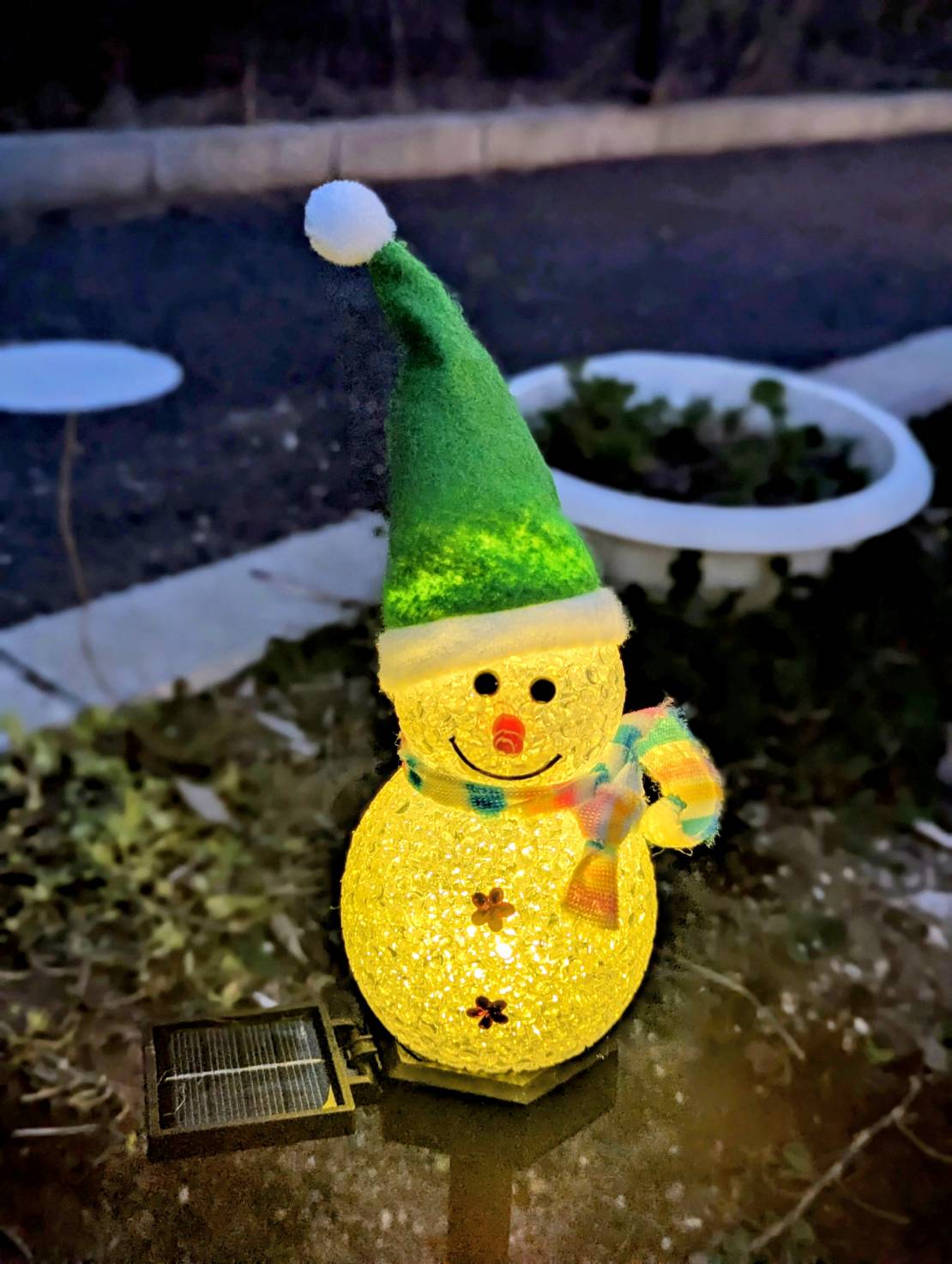 応援プログラム！Xmasイルミネーション！