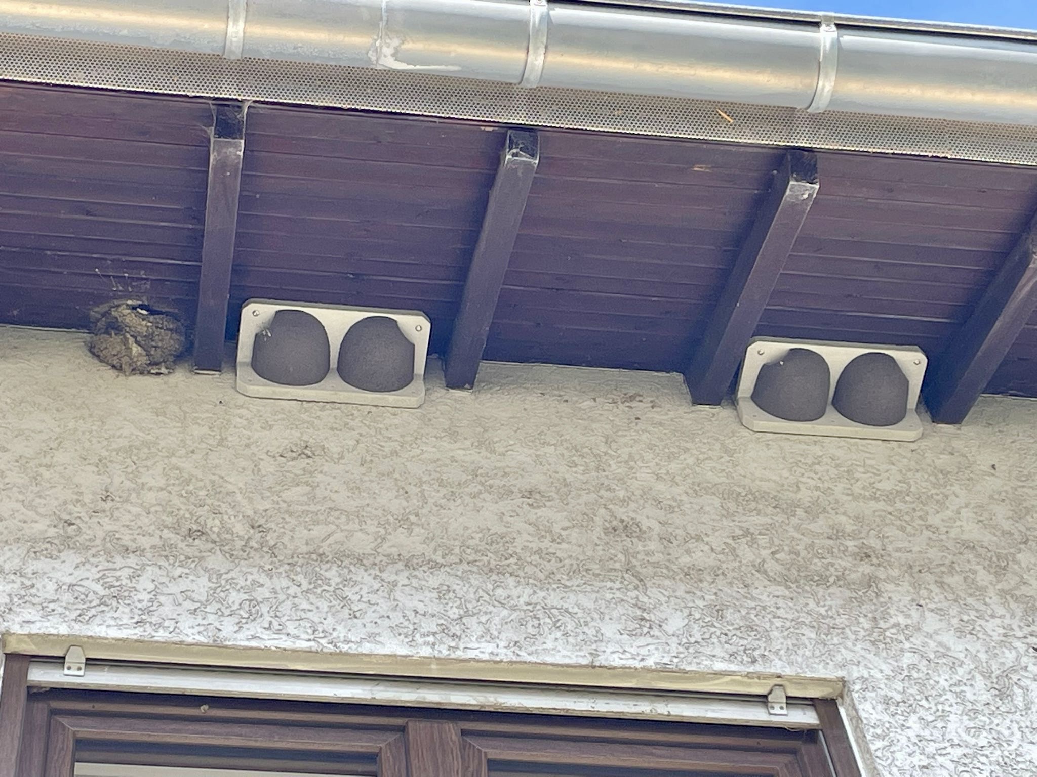 Schwalbennester bei Familie Ries/Klemm