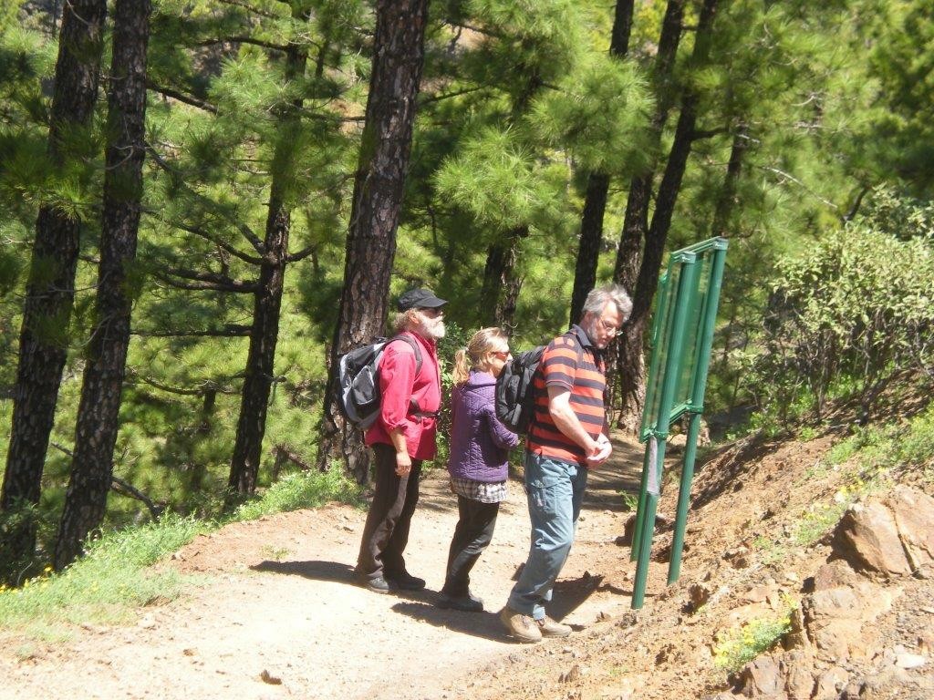 Kanaren Caldera Wandern... 