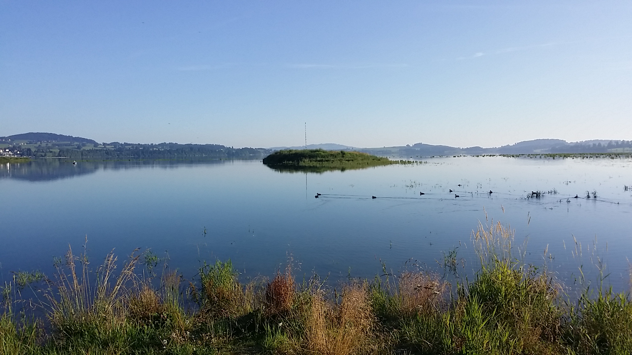 ganz früh morgens