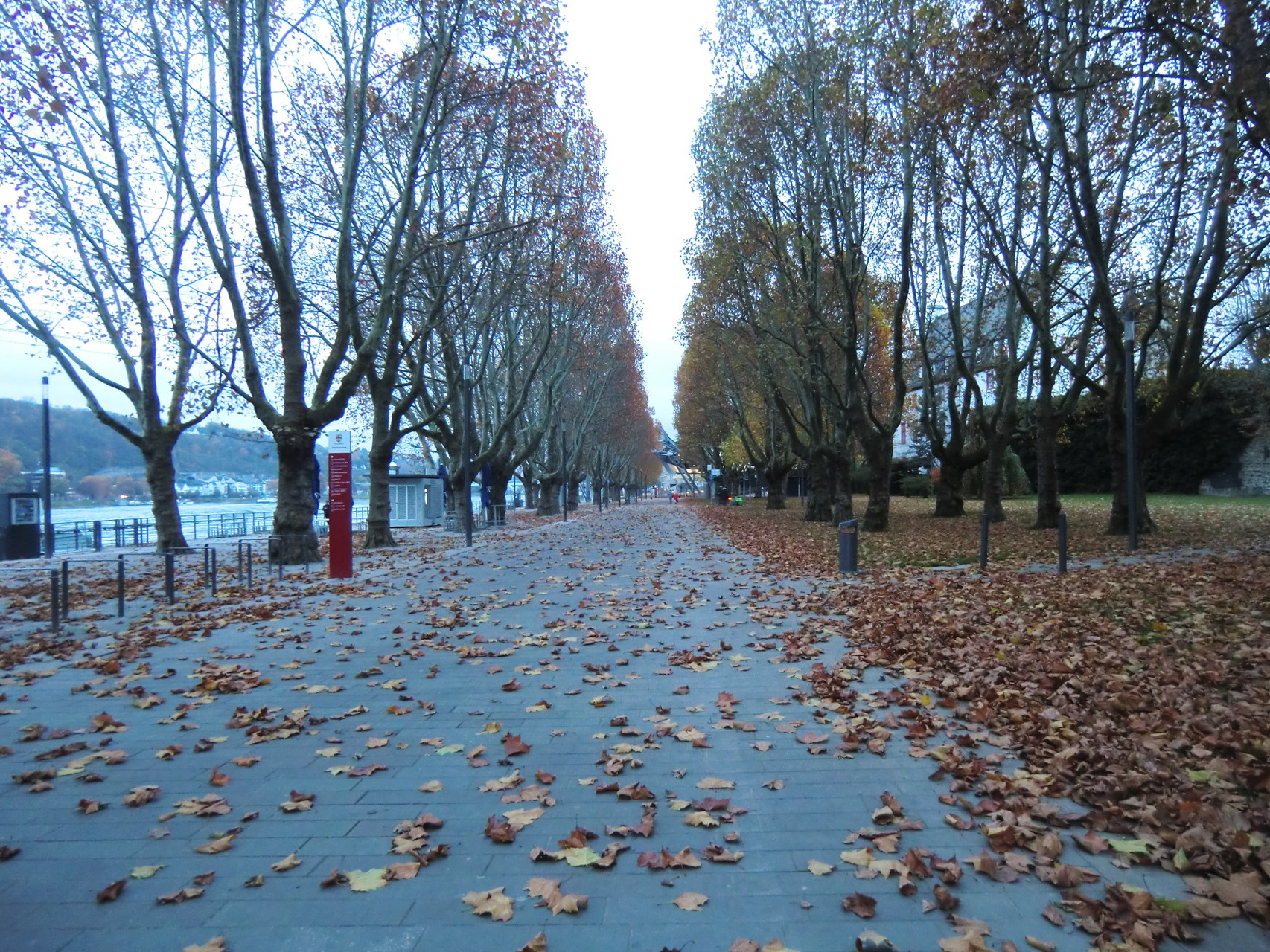 Herbst entlang der Rheinpromenade