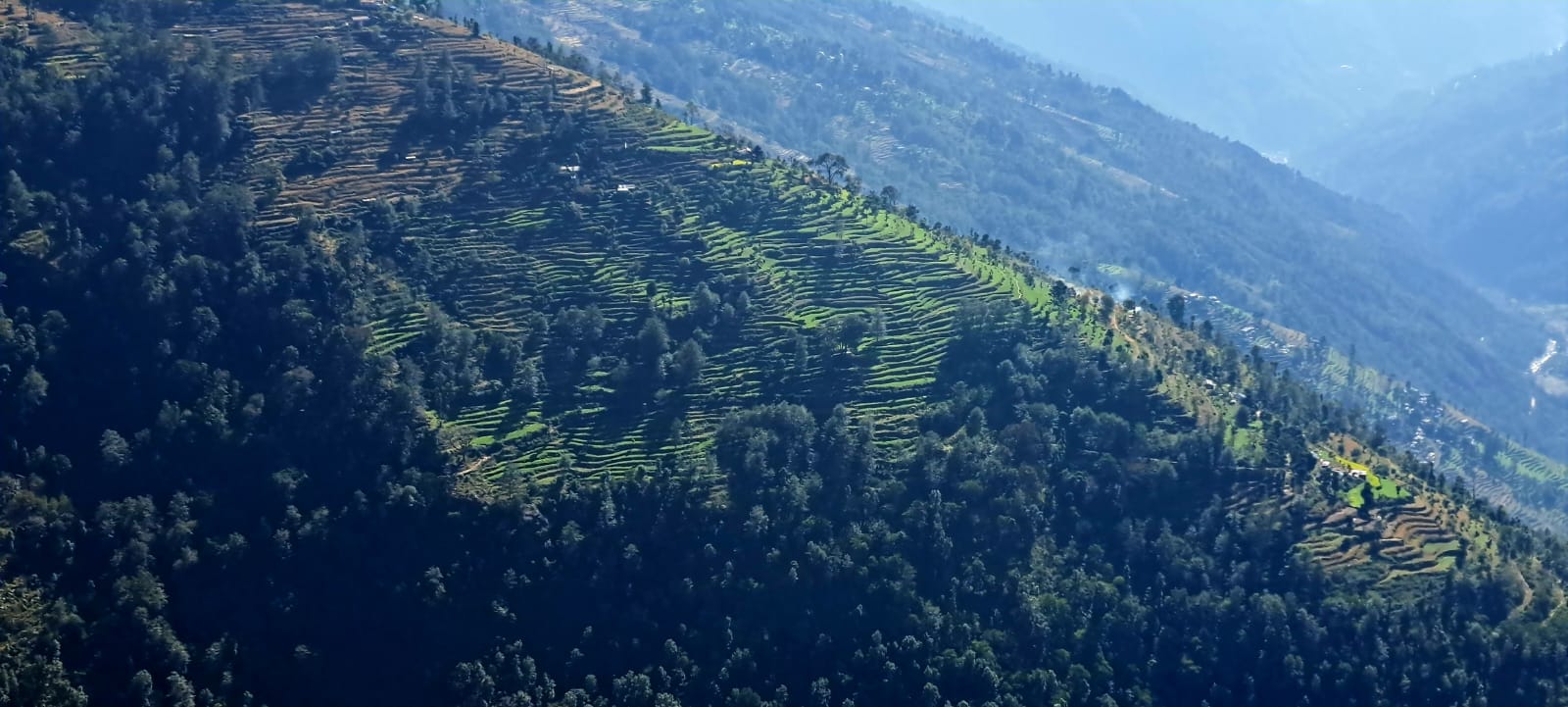Redescendre