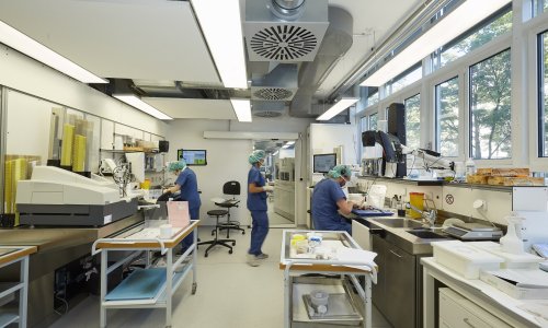 Tissue processing at the Clinical Pathology division