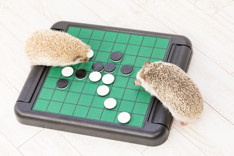 仕事を成功に導く、3つの本質|ブレイブトレイン