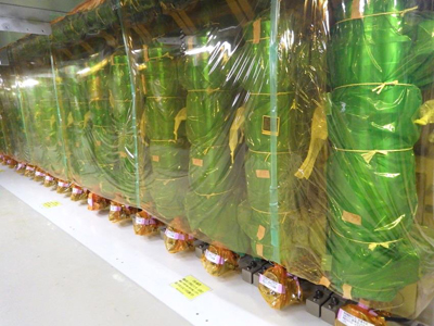 写真3 制御棒駆動水圧制御ユニットの保管状況