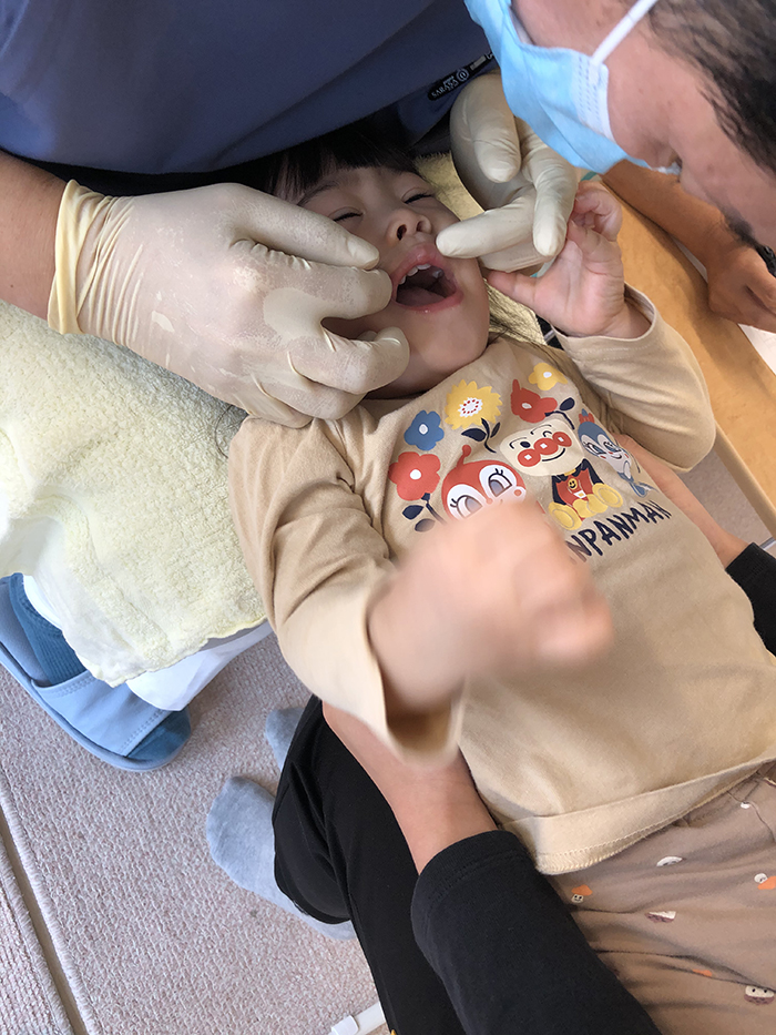 １歳児（アヒル・イルカ組）のお友だちは