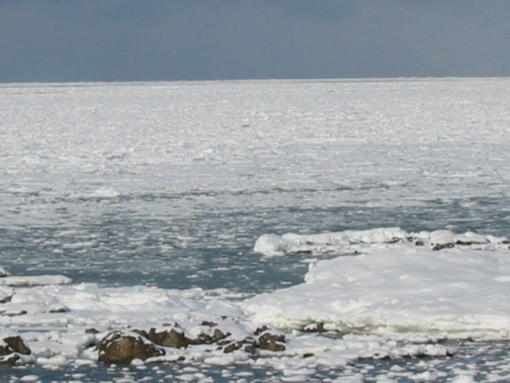 網走流氷