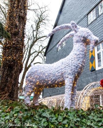 Ziege - Kleiner Tierschutz-W-Markt in einer Seitengasse