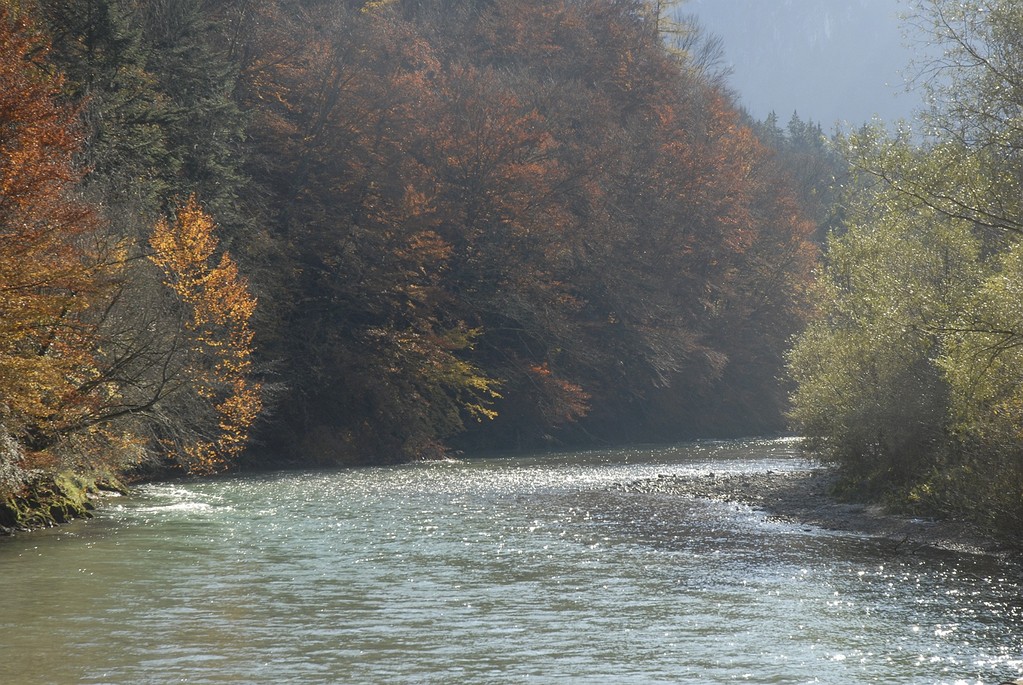 Die Königsseeache vor der Abzweigung des Almkanals.