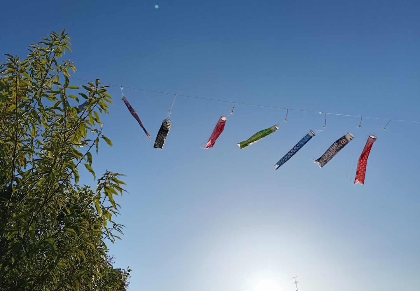 空高くのぼれ！