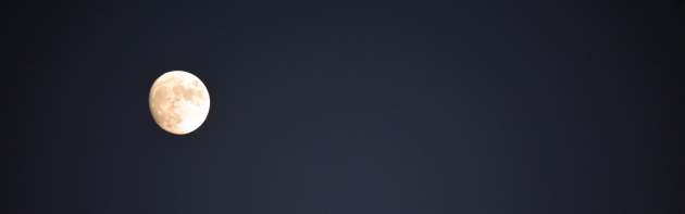 除夜の鐘つき