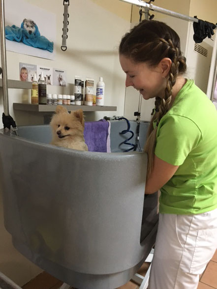 Baden beim Hundefriseur