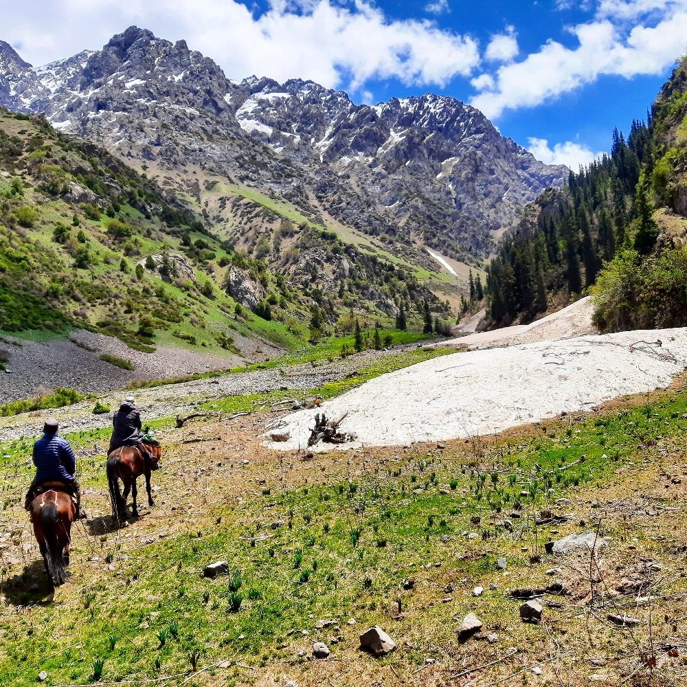 Real horse riding in Southern Kyrgyzstan. Approaching the show covered paths 