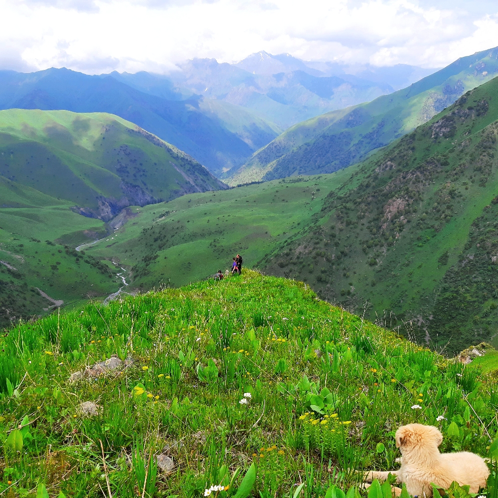 Trekking, Horse Riding, Mountaneering Tours in Southern Kyrgyzstan. Jailoo - summer pasture