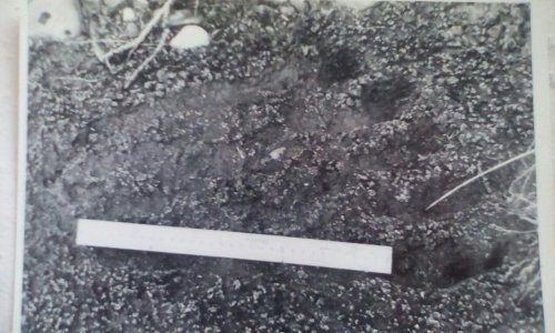 Yeti footprint found in Kyrgyzstan (photo from internet)