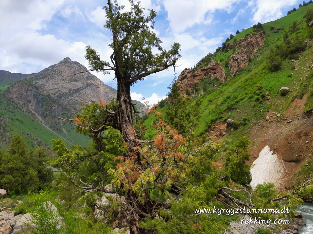 Nature of Southern Kyrgyzstan