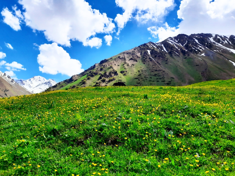 Trekking route to the mountain 