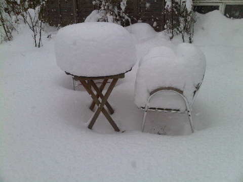 winter wonderland snow