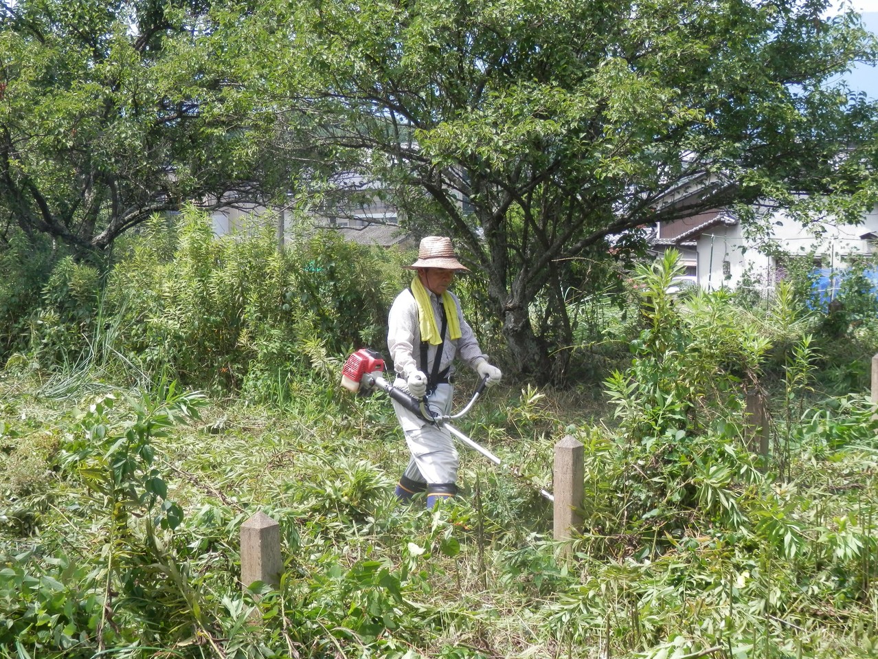 畑仕事も雑草刈りもおまかせ！　頼りになります本村副理事長