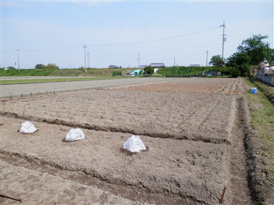 貸農園　無料