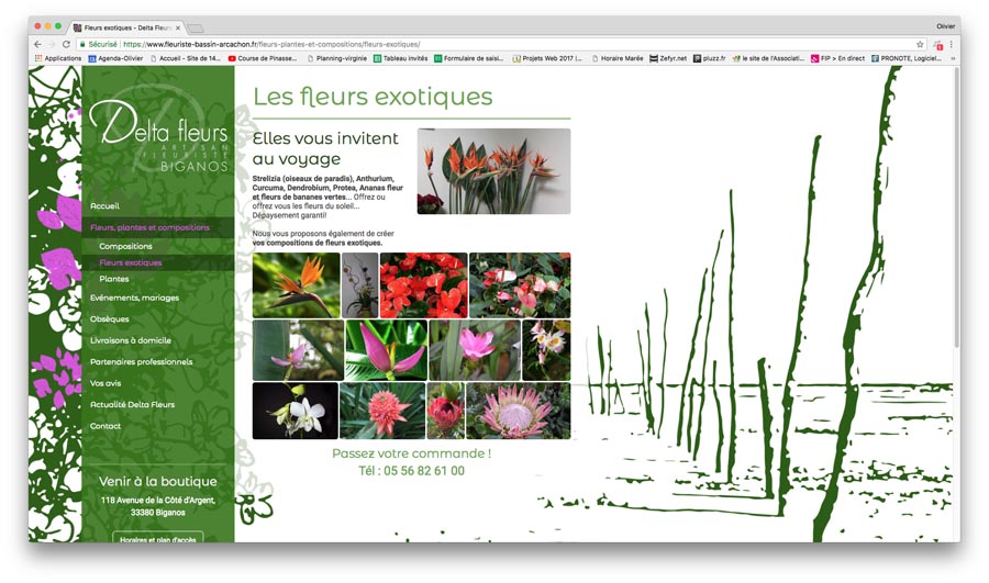 Exemples de sites internet JIMDO - Oc and co le Web des TPE