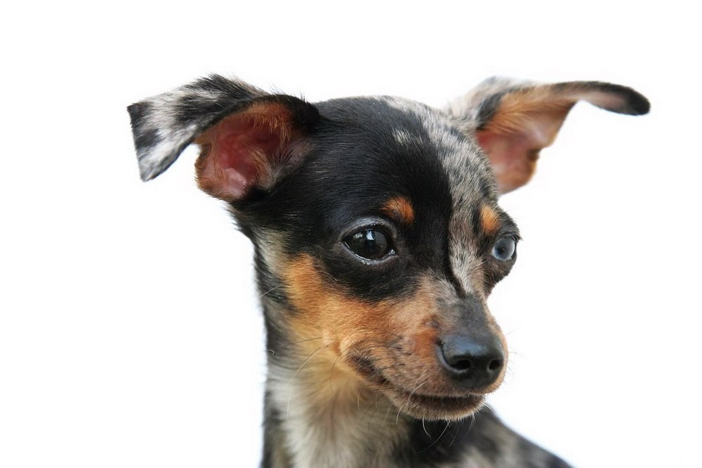 Adoptiveltern kennenlernen