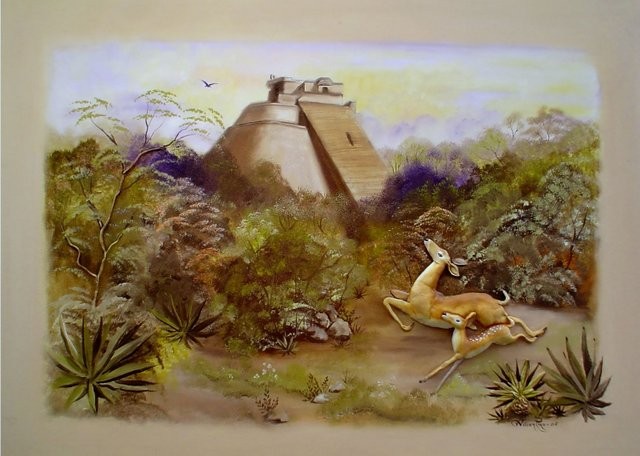 "Venados en Uxmal, 2005" 50 x 70 cm.