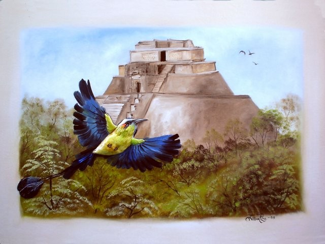 "Pájaro Toh en Uxmal, 2005" 50 x 70 cm.